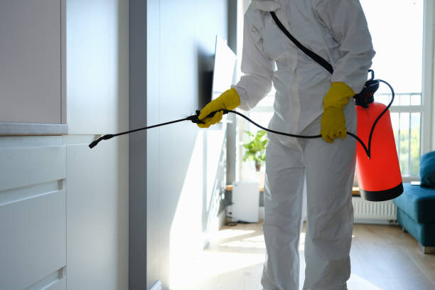 Best Residential Mold Remediation in Nocona, TX